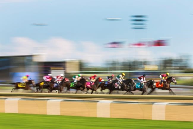 Woodbine Entertainment CEO Lawson optimistic about full 17-horse Queen's Plate field | iNFOnews.ca