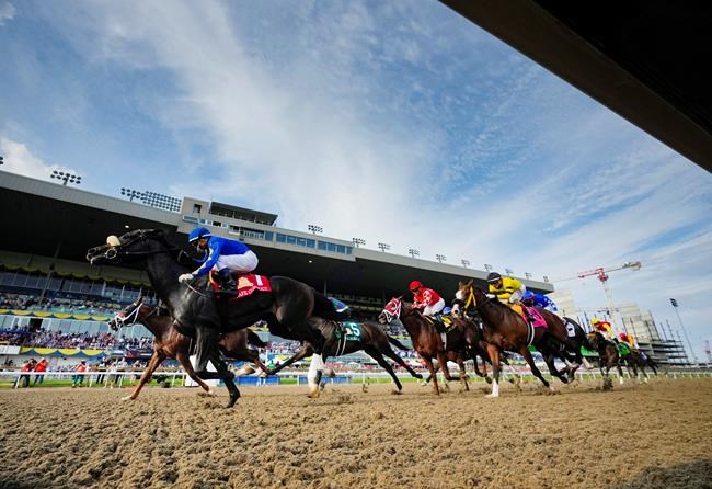 Safe Conduct holds off Riptide Rock to win the 162nd Queen's Plate | iNFOnews.ca