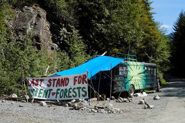 RCMP arrest eight as protests continue against old-growth logging in B.C. | iNFOnews.ca