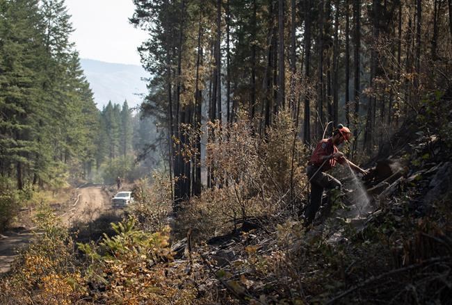 Two major wildfires in B.C.'s southern Interior now classified as 'being held' | iNFOnews.ca