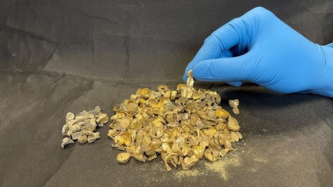 Vancouver police search for owners of $12,000 worth of dental gold | iNFOnews.ca