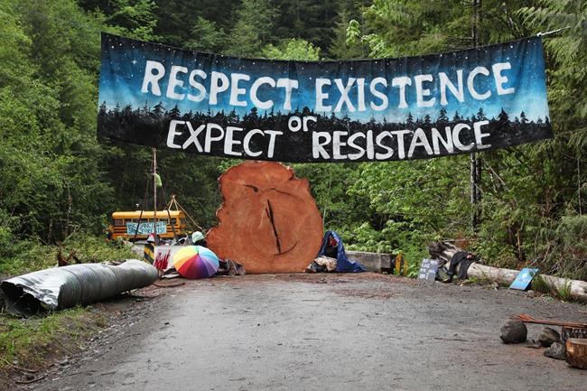Ongoing protest over old-growth logging on Vancouver Island marks one year | iNFOnews.ca