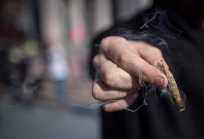 Study finds cannabis use associated with higher risk of heart attack in young adults | iNFOnews.ca