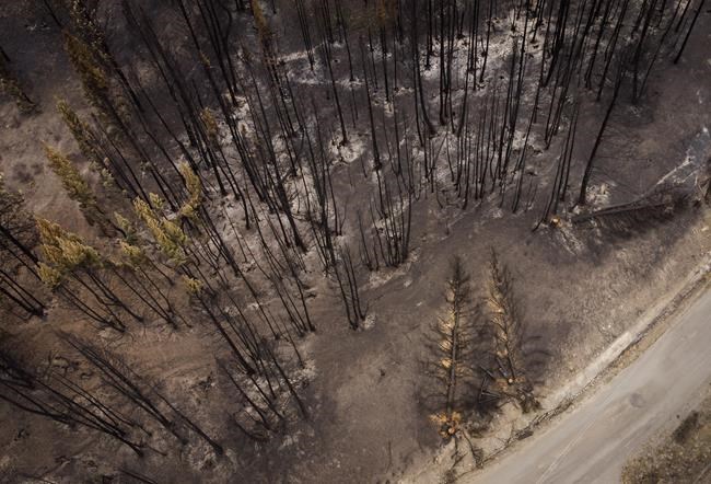 Firefighters from Mexico set to head home after battling wildfires in B.C. | iNFOnews.ca