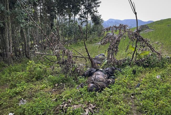 At scene of Ethiopia's new killings, some fight, some flee | iNFOnews.ca