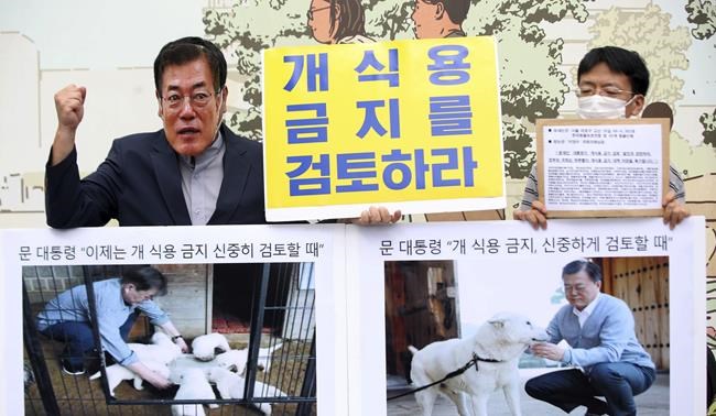 S. Korean leader's review of ban on eating dog meat welcomed | iNFOnews.ca S. Korean leader's review of ban on eating dog meat welcomed | iNFOnews.ca