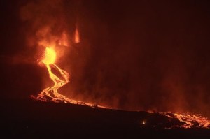 CP1665786942