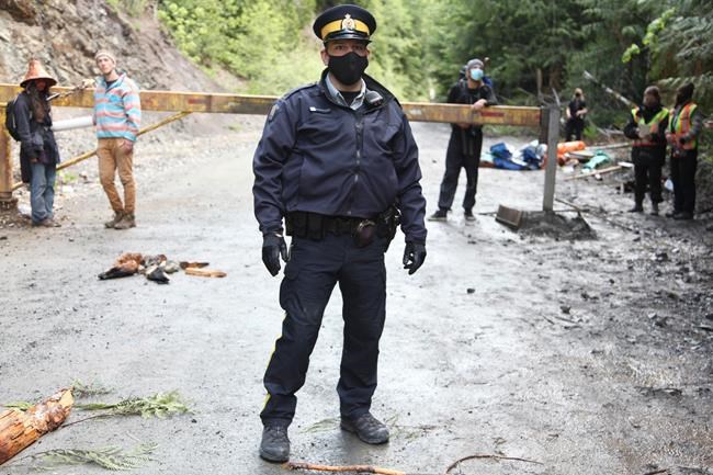 Old-growth logging protesters dig in as company appeals court's injunction denial | iNFOnews.ca