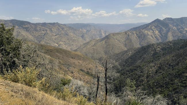 Cause of deaths of California family on hike remains mystery | iNFOnews.ca