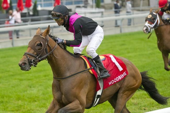 Veteran jockey Husbands guides 24/1 longshot British Royalty to record Breeders' win | iNFOnews.ca