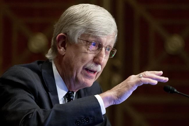 NIH head Collins steps down, led fight against cancer, COVID | iNFOnews.ca