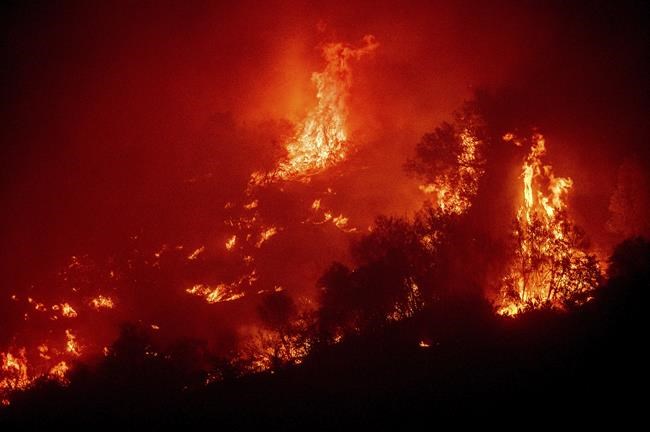 California fires may have killed hundreds of giant sequoias | iNFOnews.ca