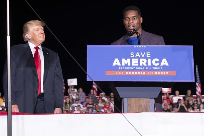 Trump-backed candidates face scrutiny after minimal vetting | iNFOnews.ca