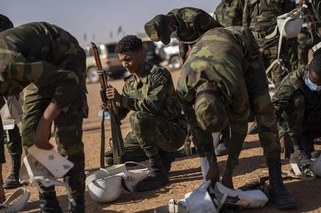 Independence leader: Wall won't stop Western Sahara fight | iNFOnews.ca