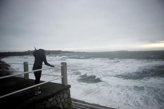 Weather systems to bring 'river' of rain to B.C.'s south coast: Environment Canada | iNFOnews.ca