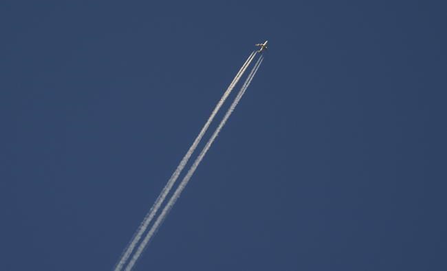 CP1790195650