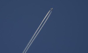 CP1790195650