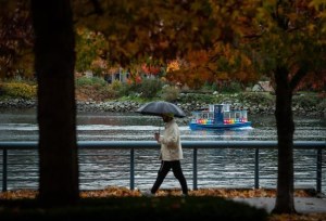 CP2136579503