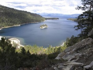 CP2119059197