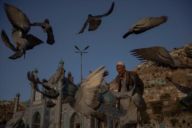 Help Afghanistan's neighbours to help refugees fleeing Taliban: UNHCR official | iNFOnews.ca Help Afghanistan's neighbours to help refugees fleeing Taliban: UNHCR official | iNFOnews.ca