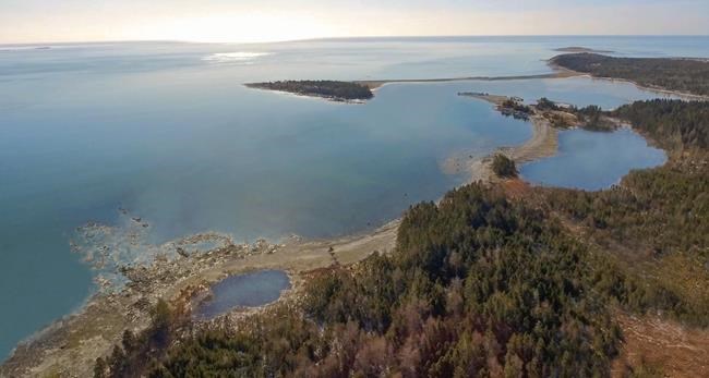 North America's first whale sanctuary is taking shape in rural Nova Scotia | iNFOnews.ca CP307884254