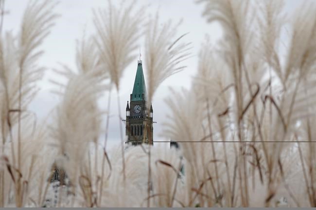Managers shouldn't decide if employee vaccine views are valid: federal unions | iNFOnews.ca Managers shouldn't decide if employee vaccine views are valid: federal unions | iNFOnews.ca