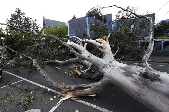 Wild winds in Australia leave thousands without power | iNFOnews.ca Wild winds in Australia leave thousands without power | iNFOnews.ca