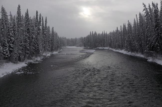B.C. First Nation clan says hereditary chief arrested while protesting pipeline | iNFOnews.ca