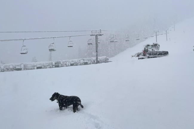 Ski resorts counting on a return to normal on the slopes | iNFOnews.ca Ski resorts counting on a return to normal on the slopes | iNFOnews.ca