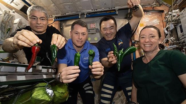 No toilet for returning SpaceX crew, stuck using diapers | iNFOnews.ca