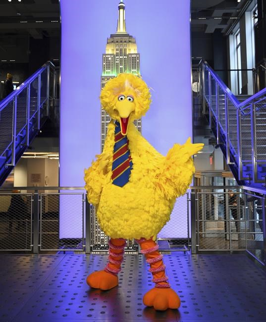 Big Bird backlash: Vax lands even Muppet in political flap | iNFOnews.ca Big Bird backlash: Vax lands even Muppet in political flap | iNFOnews.ca