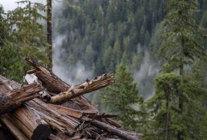 CP1743621476