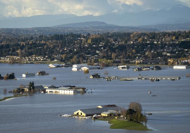 Thousands of animals dead in 'agricultural disaster,' says B.C. government | iNFOnews.ca Thousands of animals dead in 'agricultural disaster,' says B.C. government | iNFOnews.ca
