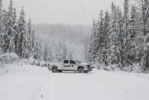 CP1783917393