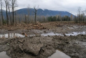 CP1095831470