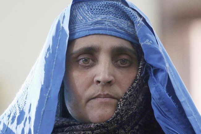 Afghan girl from famous cover portrait is evacuated to Italy | iNFOnews.ca Afghan girl from famous cover portrait is evacuated to Italy | iNFOnews.ca