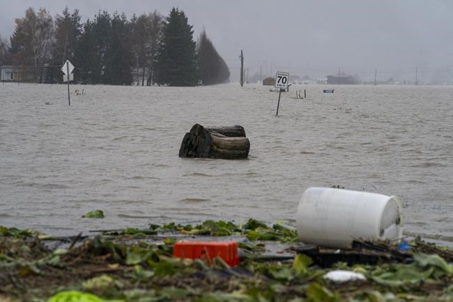 Dreading more rain in B.C. and Black Friday arrives: In The News for Nov. 26 | iNFOnews.ca