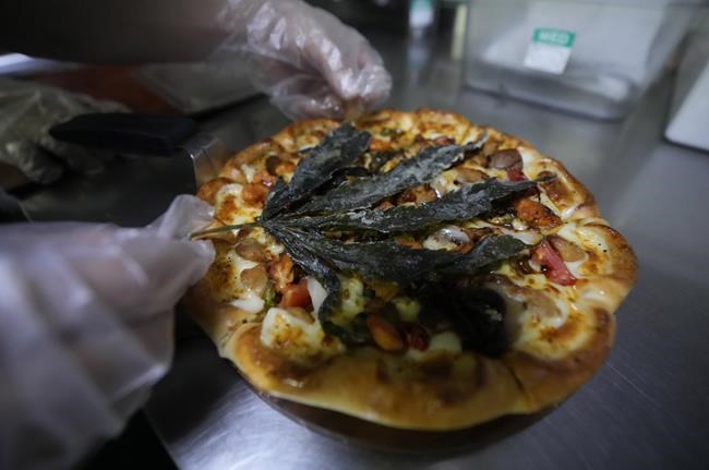 Thai chain's cannabis pizza: trendy but won't get you high | iNFOnews.ca Thai chain's cannabis pizza: trendy but won't get you high | iNFOnews.ca