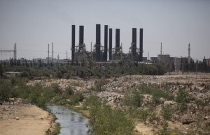 CP1142566242