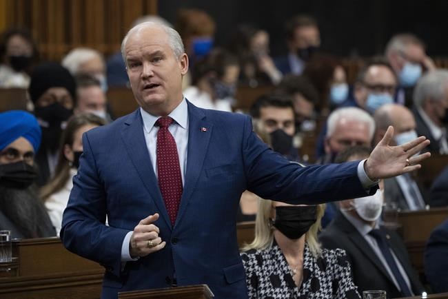 Liberals thank Conservatives who championed conversion therapy ban as it passes House | iNFOnews.ca