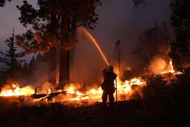 Father, son arrested in wildfire that threatened Lake Tahoe | iNFOnews.ca
