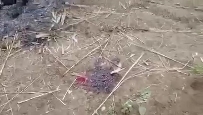 Alleged massacre in Myanmar village highlights bitter fight | iNFOnews.ca Alleged massacre in Myanmar village highlights bitter fight | iNFOnews.ca