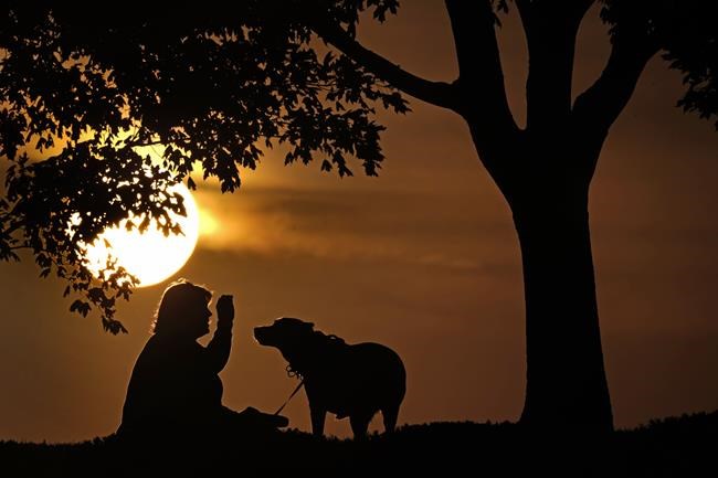 Pet insurance can help keep costs for your furbaby in check | iNFOnews.ca