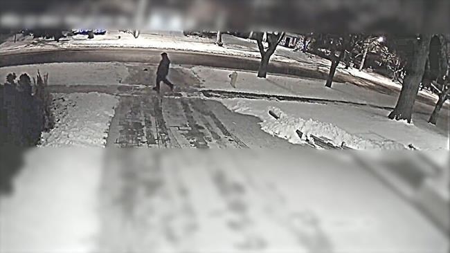 Police ask for help to identify suspect in Sherman murders | iNFOnews.ca