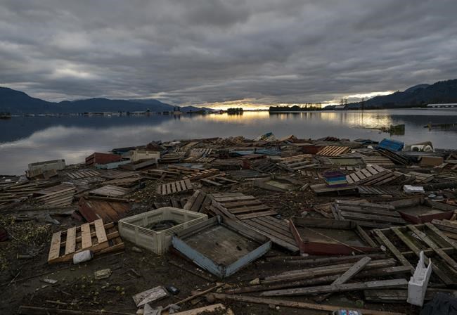 Cars, couches, propane and fuel tanks among debris from record flooding in B.C. | iNFOnews.ca