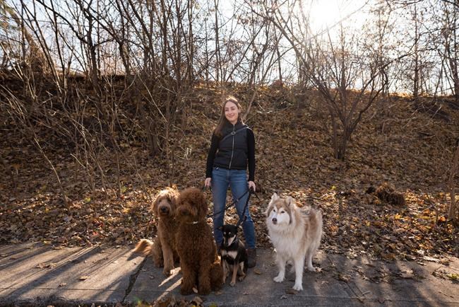 Pandemic puppy boom drives profits, unleashes havoc on pet businesses | iNFOnews.ca