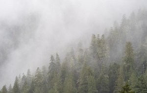 CP1847026903