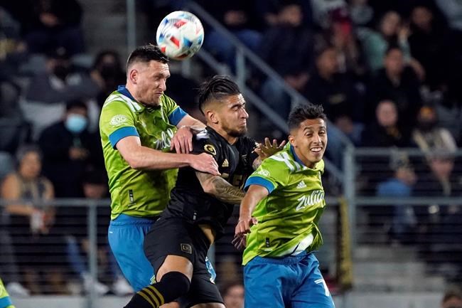 Toronto FC adds experience to backline by signing free agent Shane O'Neill | iNFOnews.ca