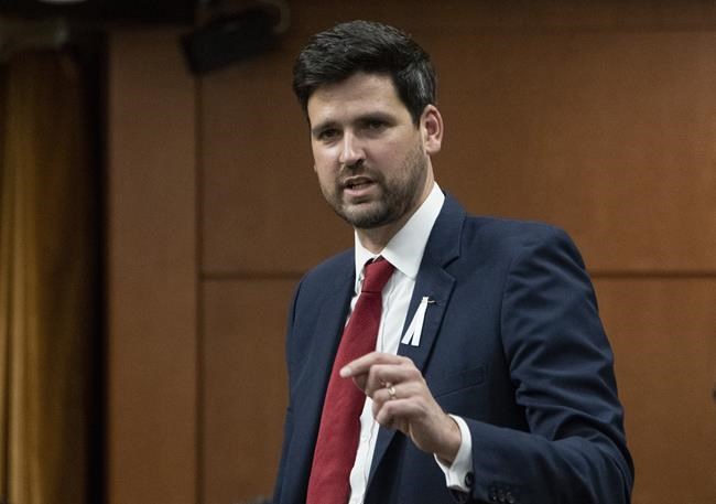 COVID-19 might have lasting impacts on the way Canada handles immigration: Minister | iNFOnews.ca