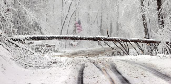 School, work, travel can wait as snow blankets U.S. capital | iNFOnews.ca School, work, travel can wait as snow blankets U.S. capital | iNFOnews.ca
